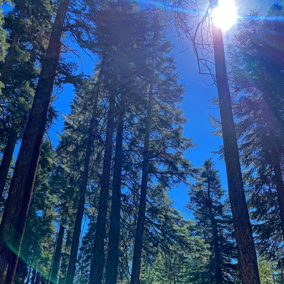 Meet your Posher, Rafaela - Picture 1 of 1